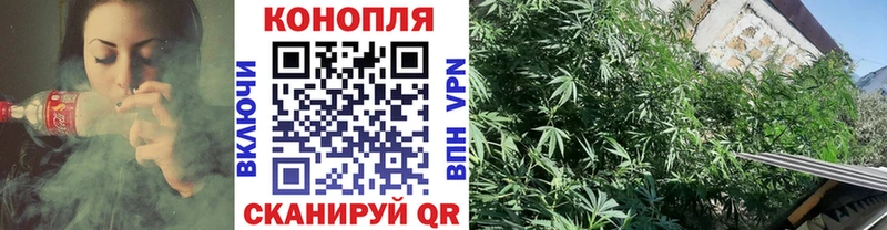 MEGA маркетплейс  где можно купить   Кулебаки  Бошки марихуана White Widow 